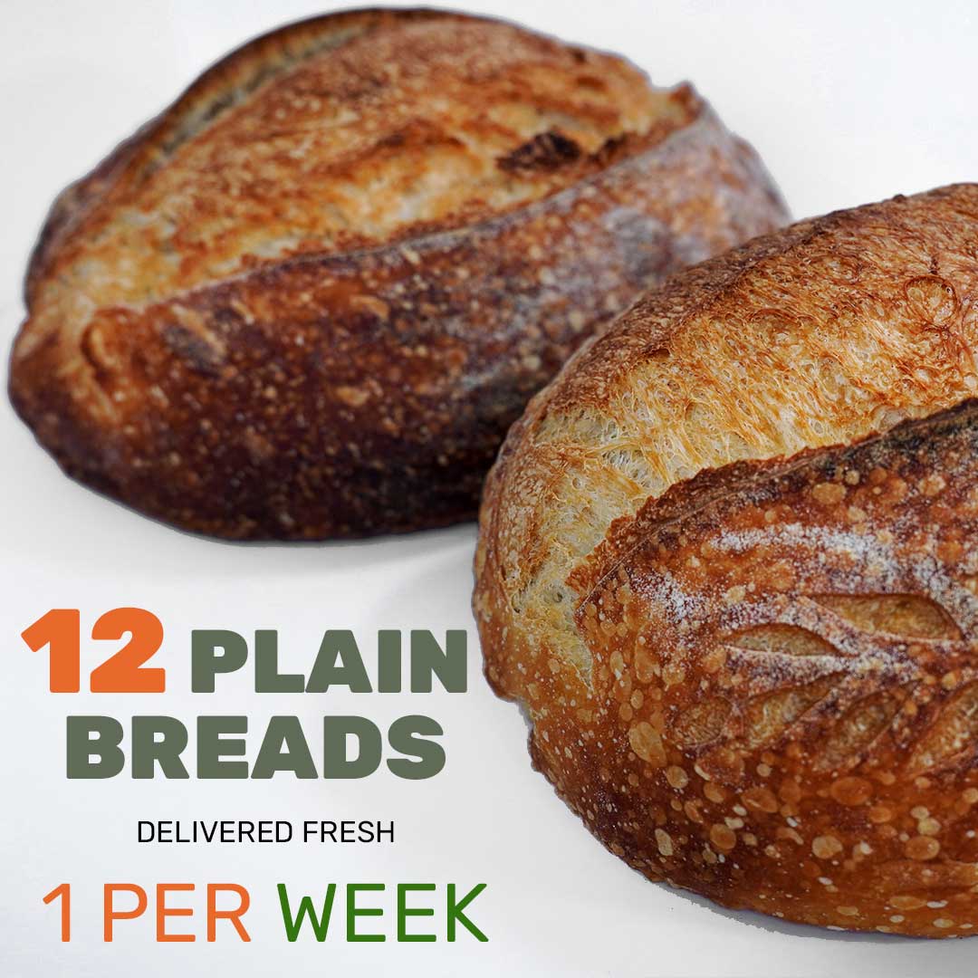 Weekly Plain Sourdough Bread Subscription – 12 Weeks