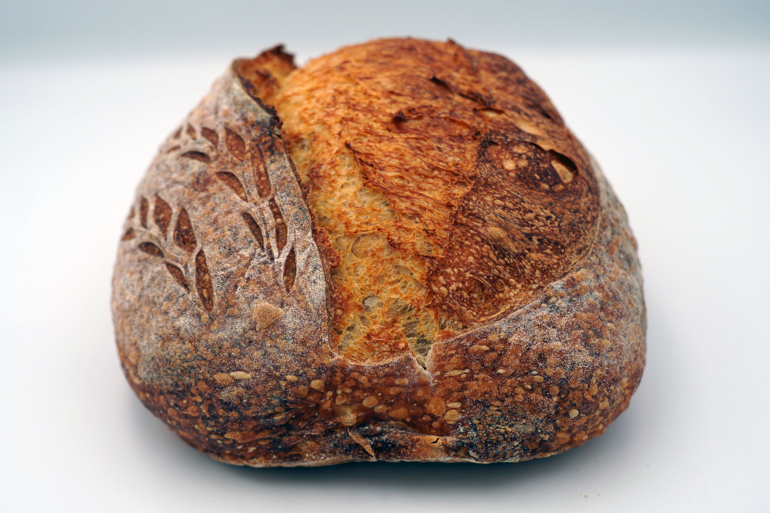 Plain Sourdough Bread