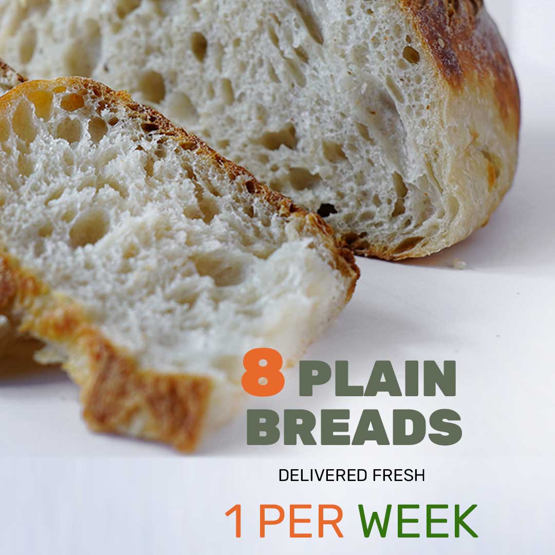 Weekly Plain Sourdough Bread Subscription – 8 Weeks