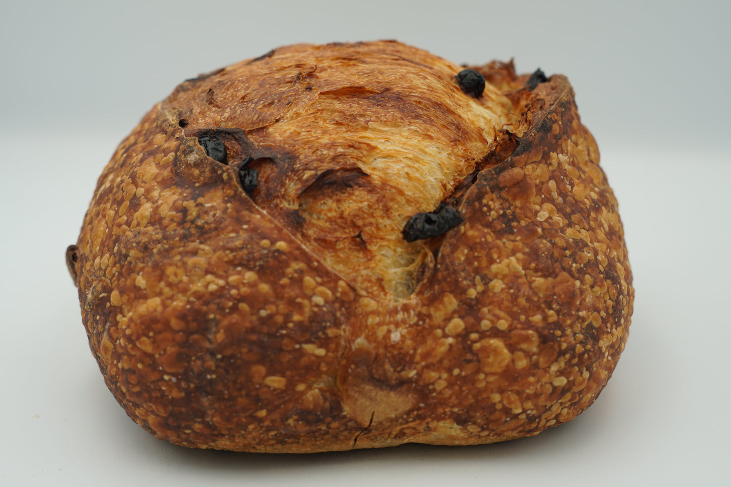Walnut & Cranberry Sourdough